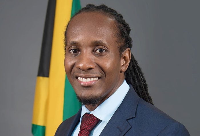 Jamaica's State Minister lauds voluntary work by diasporans