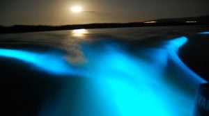 60 STOPS Luminous Lagoon