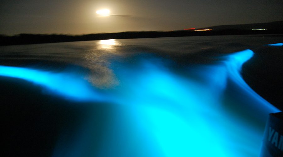 60 STOPS Luminous Lagoon