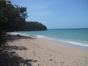 Reggae Beach St. Mary