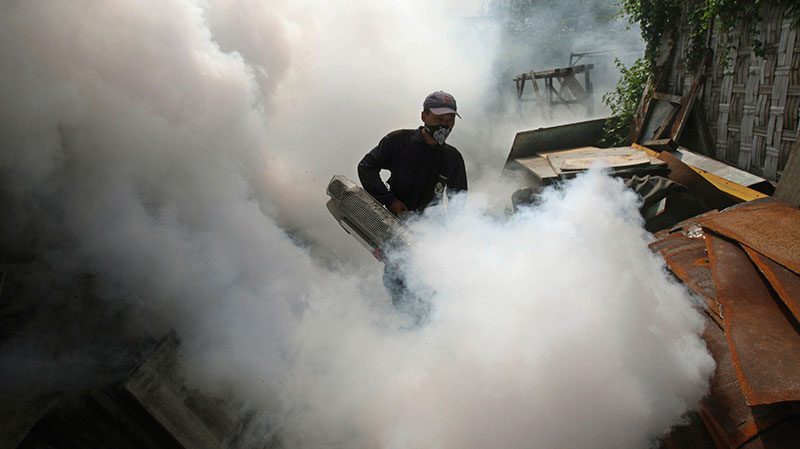 dengue fogging