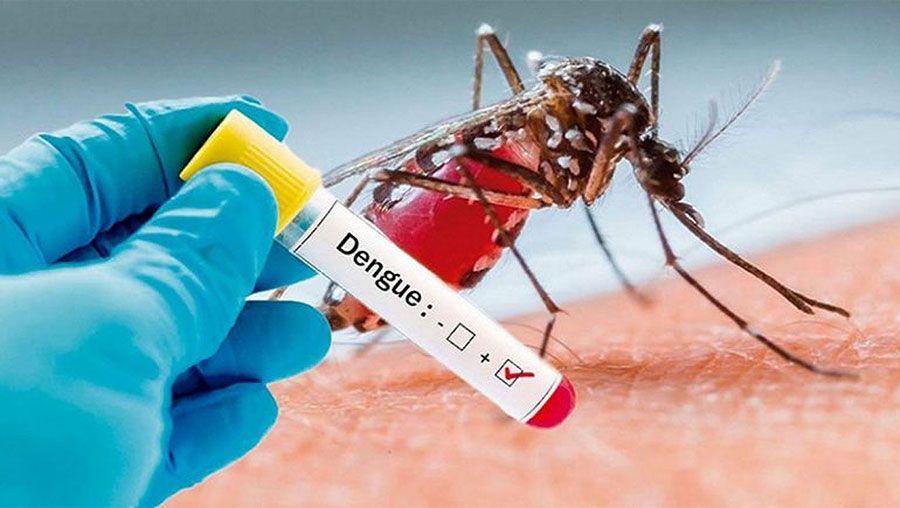dengue outbreak