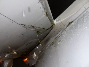 American Airlines flight 