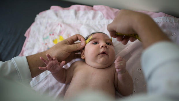 zika-in-broward